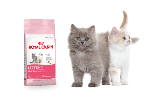 Imagen promoción Descuento en producto para gatitos