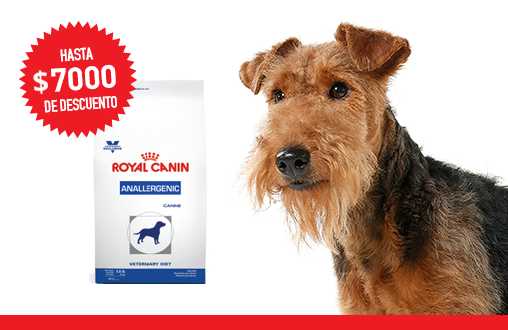 Imagen promoción Alimento para perros con alergia alimentaria