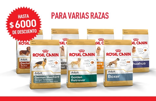 Imagen promoción Alimento para perros de raza