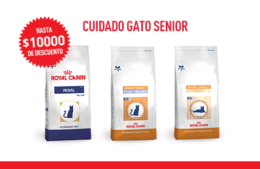 Imagen promoción Cuidado de gato senior