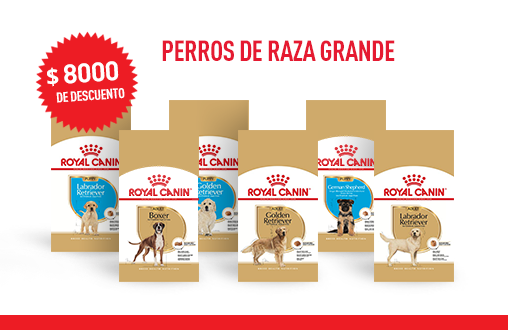 Imagen promoción Perros de raza grande