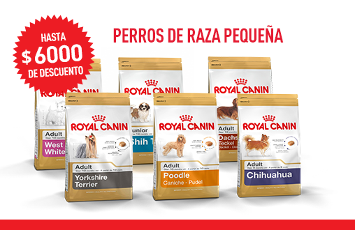 Imagen promoción Perros de raza pequeña