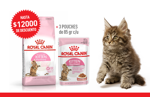 Imagen promoción Kitten Sterilised + Kitten Sterilised Húmedo