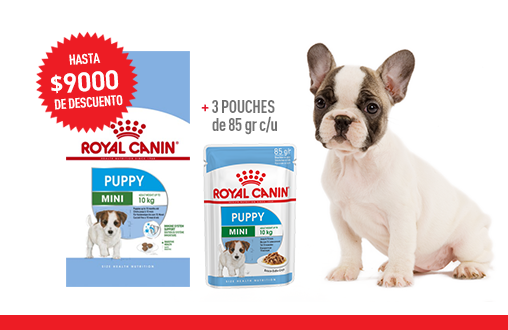 Imagen promoción Mini Puppy + Mini Puppy Húmedo