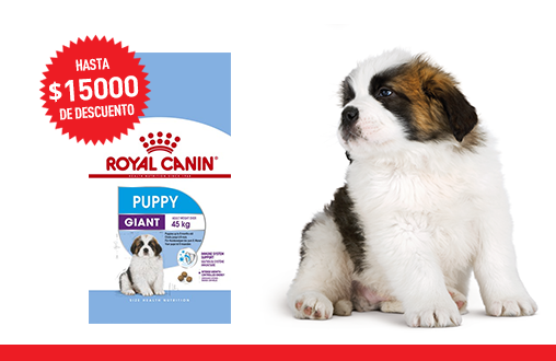 Imagen promoción Giant Puppy