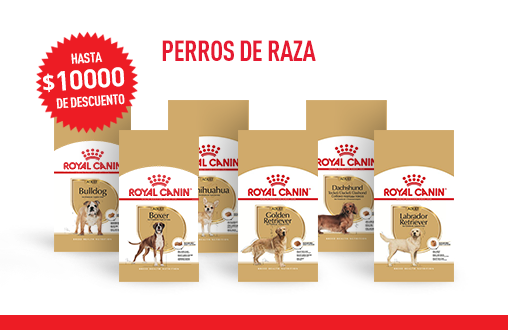 Imagen promoción Perros de raza