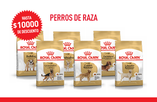 Imagen promoción Perros de raza