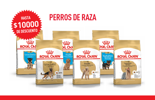 Imagen promoción Perros de raza