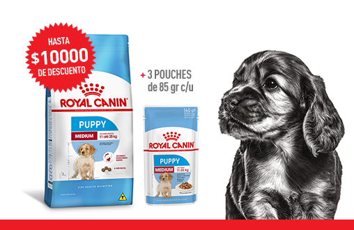 Imagen promoción Cachorros de talla mediana - Mix feeding