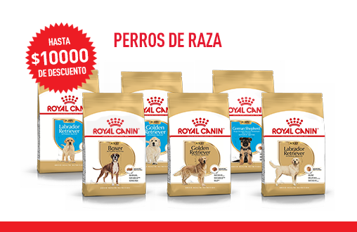 Imagen promoción Perros de raza