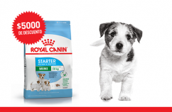 Imagen promoción Madres y cachorros de talla pequeña