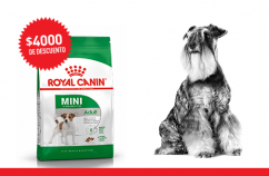 Imagen promoción Perros adultos de talla pequeña
