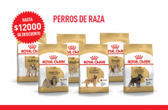 Imagen promoción Perros de raza