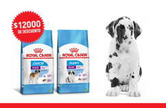 Imagen promoción Cachorros de talla gigante