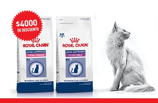 Imagen promoción Gatos esterilizados