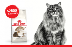 Imagen promoción Gatos mayores de 12 años