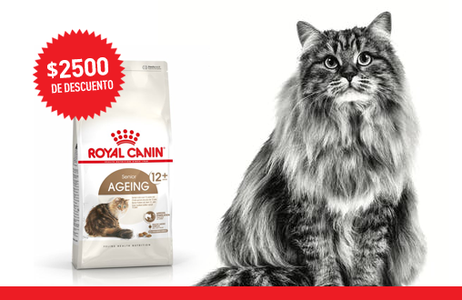 Imagen promoción Gatos mayores de 12 años "COPIA"