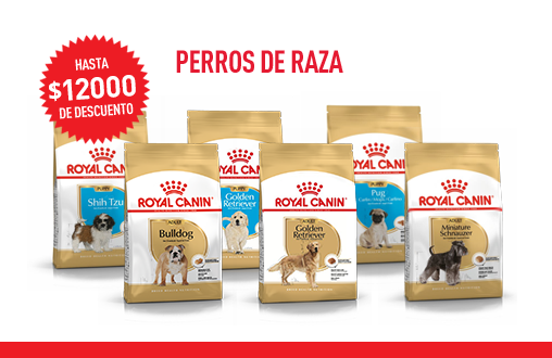 Imagen promoción Perros de raza