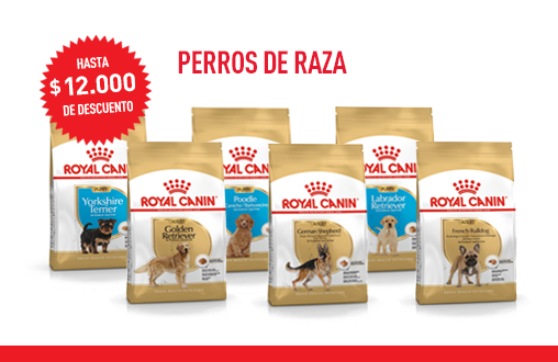 Imagen promoción Perros de raza