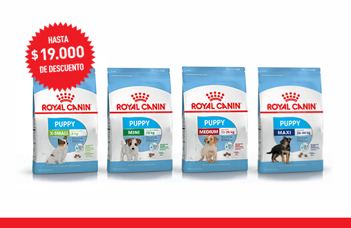 Imagen promoción Promo Alimento Cachorros + Consulta Veterinaria