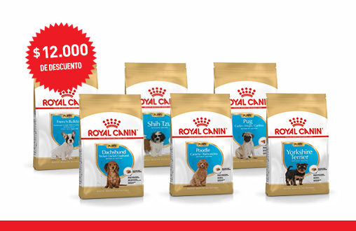 Imagen promoción Promo Alimento Cachorros de raza pequeña + Consulta Veterinaria
