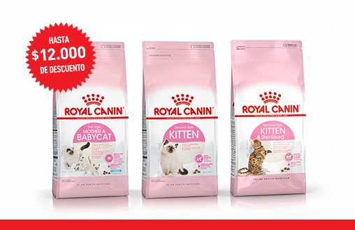 Imagen promoción Promo Alimento Gatitos + Consulta Veterinaria