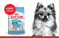 Imagen promoción Madres y cachorros de talla pequeña