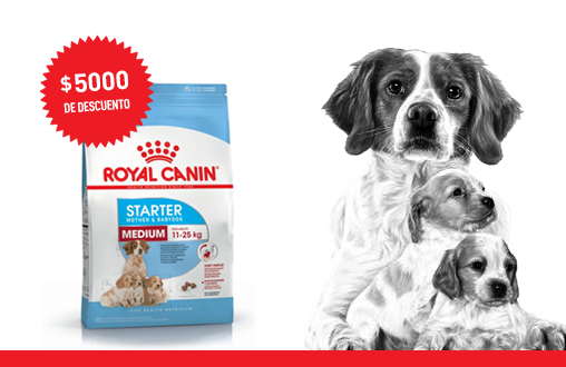 Imagen promoción Madres y cachorros de talla mediana