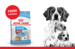 Imagen promoción Madres y cachorros de talla mediana