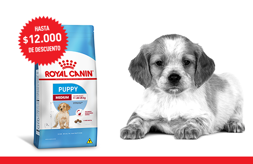 Imagen promoción Cachorros de talla mediana