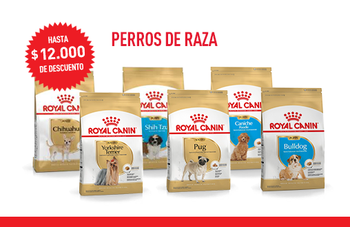Imagen promoción Perros de raza