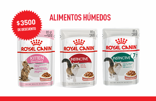 Imagen promoción Alimentos Húmedos Gatos 
