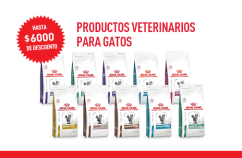 Imagen promoción Alimentos veterinarios para gatos
