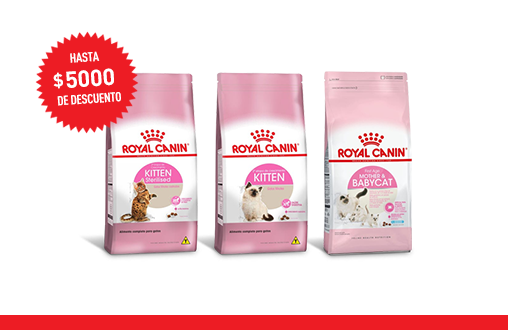 Imagen promoción Gatitos