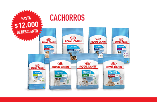 Imagen promoción Cachorros