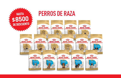 Imagen promoción Perros de raza