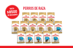 Imagen promoción Perros de raza