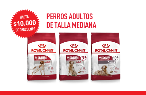 Imagen promoción Perros adultos de talla mediana