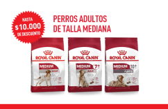 Imagen promoción Perros adultos de talla mediana