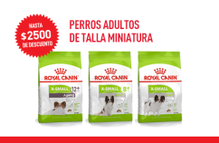 Imagen promoción Perros adultos de talla miniatura
