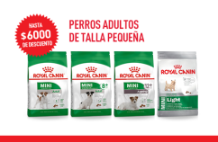Imagen promoción Perros adultos de talla pequeña