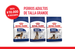 Imagen promoción Perros adultos de talla grande
