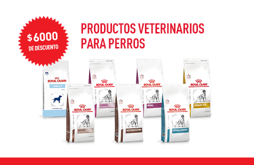 Imagen promoción Alimentos vet para perros