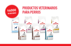 Imagen promoción Alimentos vet para perros