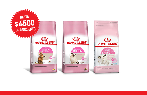 Imagen promoción Gatitos