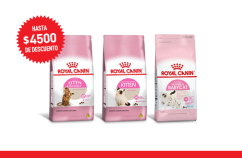 Imagen promoción Gatitos