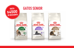 Imagen promoción Gatos Senior